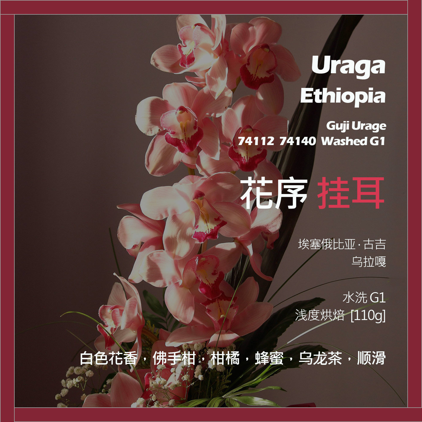 挂耳埃塞俄比亚古吉乌拉嘎74112 74140花序水洗G1单品咖啡豆新鲜