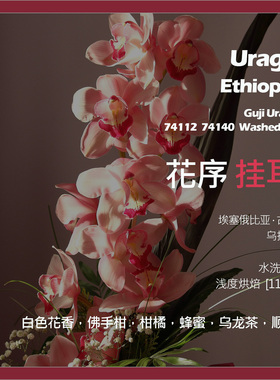 挂耳埃塞俄比亚古吉乌拉嘎74112 74140花序水洗G1单品咖啡豆新鲜