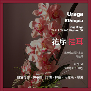 挂耳埃塞俄比亚古吉乌拉嘎74112 74140花序水洗G1单品咖啡豆新鲜