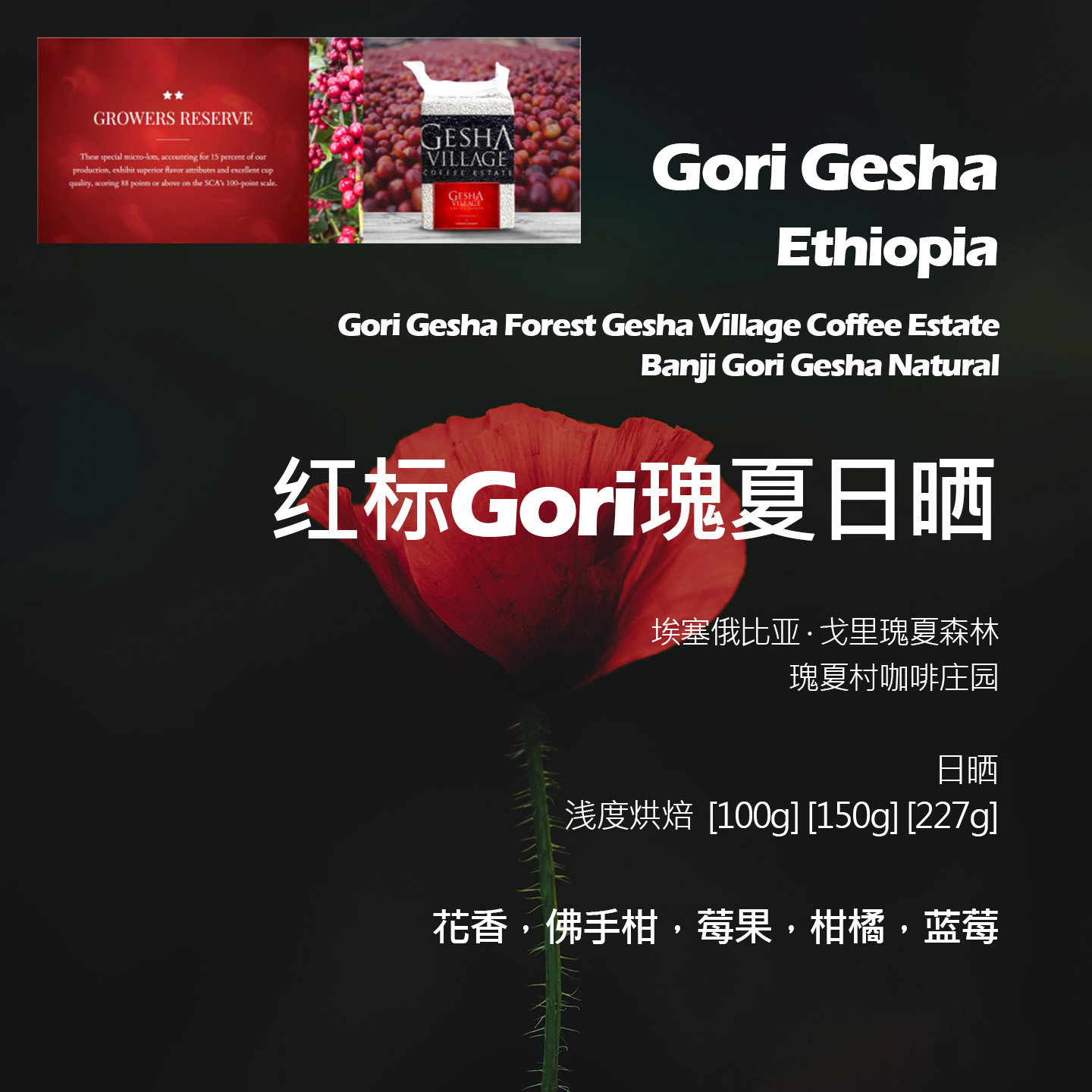 埃塞俄比亚瑰夏村红标GORI瑰夏日晒手冲单品咖啡豆新鲜浅烘红酒感