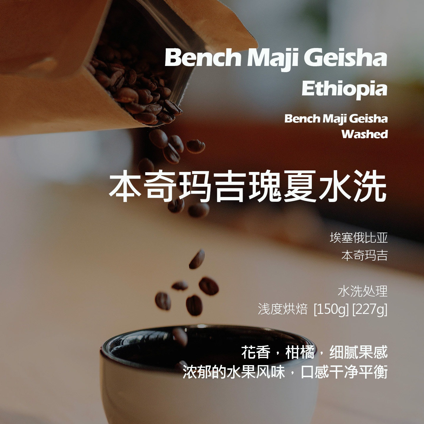埃塞俄比亚本奇玛吉瑰夏水洗手冲单品咖啡豆新鲜浅烘花香柑橘