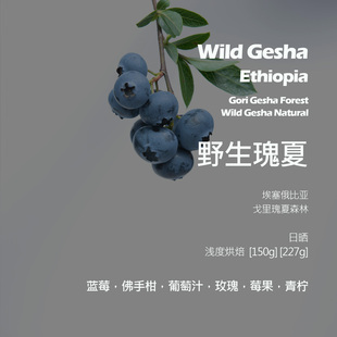 埃塞俄比亚戈里瑰夏森林野生瑰夏日晒手冲单品咖啡豆新鲜浅烘蓝莓