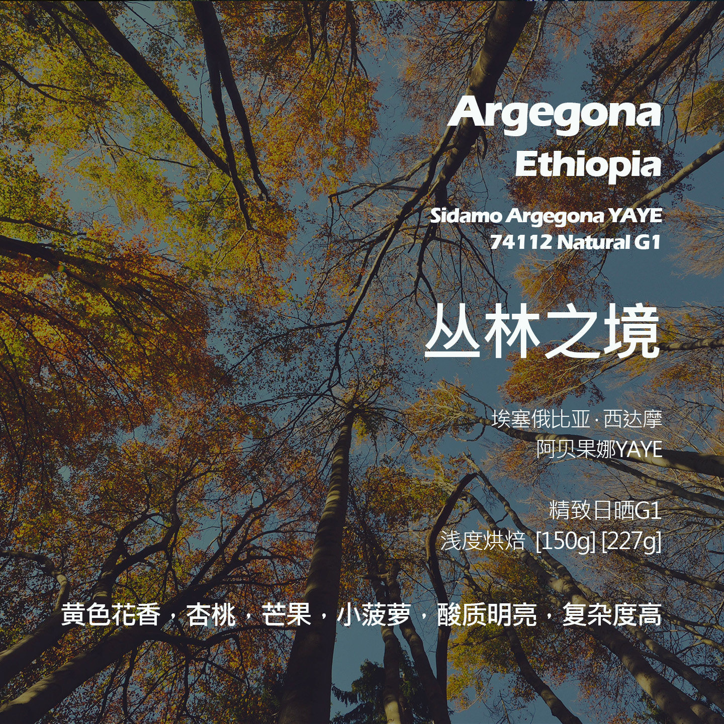 埃塞俄比亚西达摩阿贝果娜丛林之境74112日晒手冲单品咖啡豆浅烘