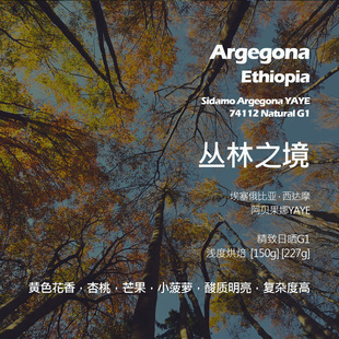 埃塞俄比亚西达摩阿贝果娜丛林之境74112日晒手冲单品咖啡豆浅烘