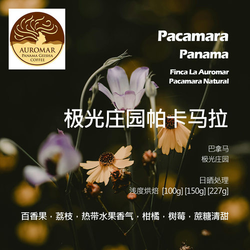 巴拿马极光庄园帕卡马拉日晒手冲单品咖啡豆浅烘百香果荔枝树莓