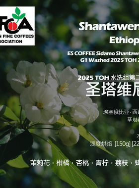 埃塞俄比亚圣塔维尼水洗手冲单品咖啡豆2025TOH水洗组第二名杏桃