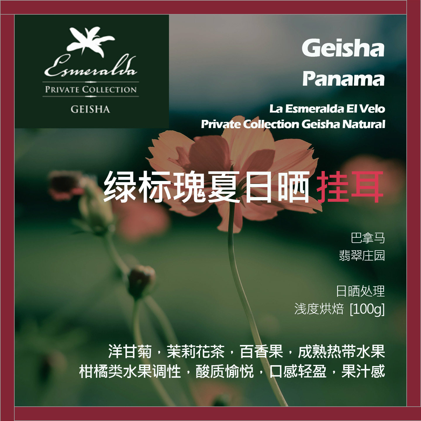 挂耳巴拿马翡翠庄园绿标瑰夏日晒单品咖啡豆新鲜浅烘成熟热带水果