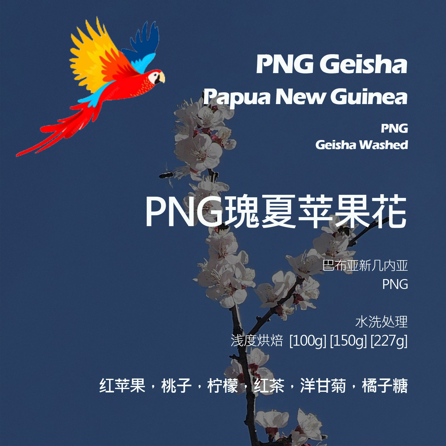 巴布亚新几内亚PNG瑰夏苹果花水洗手冲单品咖啡豆新鲜浅烘红苹果