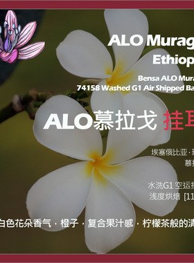 挂耳埃塞俄比亚班莎ALO慕拉戈水洗空运批次单品咖啡豆新鲜浅烘