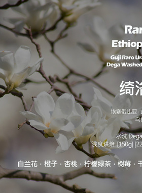埃塞俄比亚古吉乌拉嘎绮洛水洗DegaG1手冲单品咖啡豆新鲜浅烘杏桃