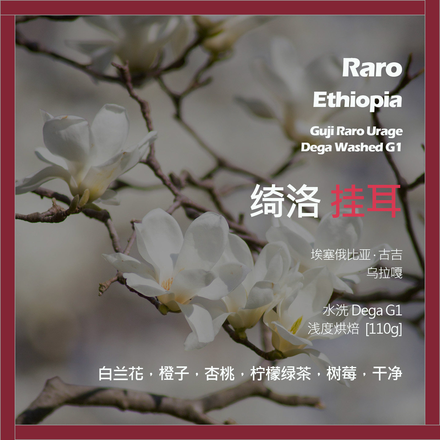 挂耳埃塞俄比亚古吉乌拉嘎绮洛水洗DegaG1单品咖啡豆新鲜浅烘橙子