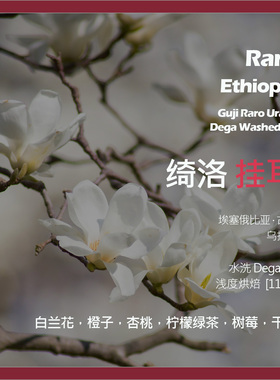 挂耳埃塞俄比亚古吉乌拉嘎绮洛水洗DegaG1单品咖啡豆新鲜浅烘橙子