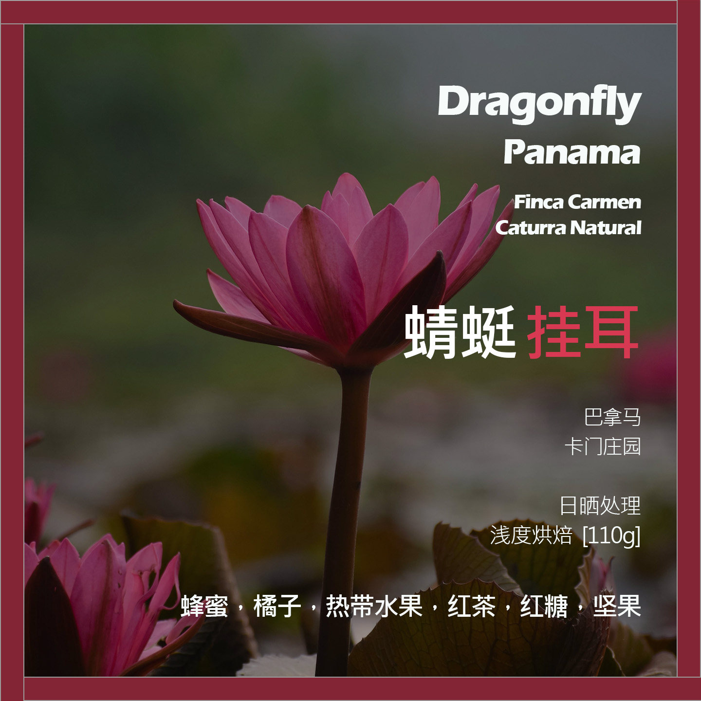 挂耳巴拿马卡门庄园卡杜拉日晒蜻蜓单品咖啡豆新鲜浅烘红茶坚果