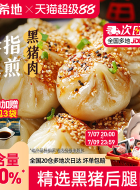 大希地黑猪肉拇指生煎包速食早餐半成品小笼包子早饭空气炸锅食材