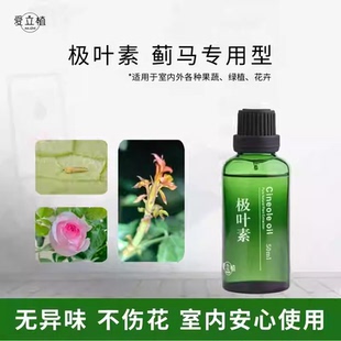 极叶素蓟马专用草莓月季番茄植物提取精油助剂安全友好室内放心用