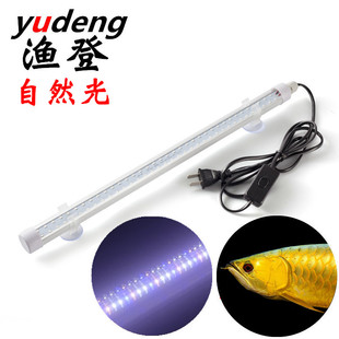 渔登 110V220V带插头线T8LED鱼缸防水灯管超白自然光金银龙水族灯