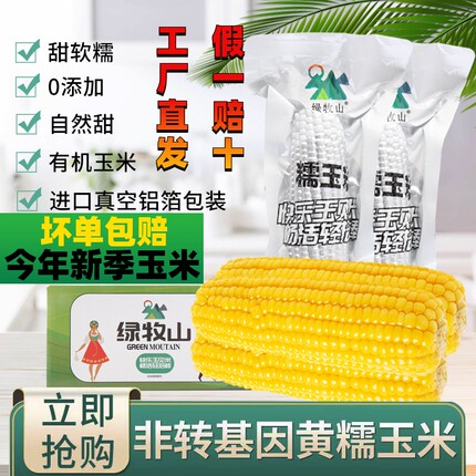 绿牧山糯玉米新鲜玉米东北玉米软糯香甜黏粘真空装