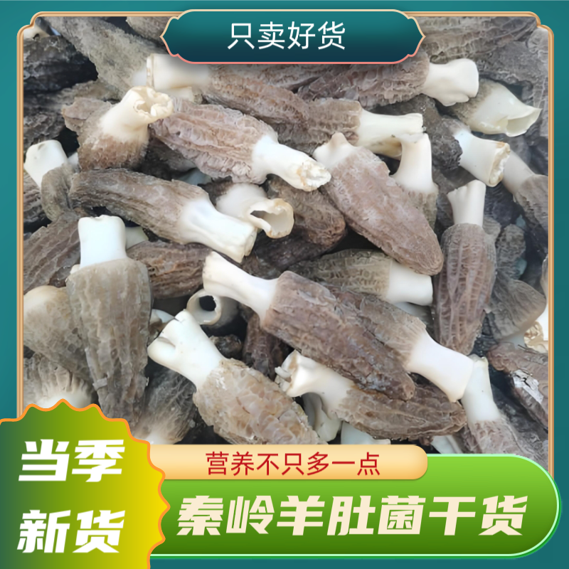 羊肚菌秦岭山区特产干货羊肚菌500克新鲜菌菇煲汤滋补当季新货,粮油调味/速食/干货/烘焙,羊肚菌,淘宝优惠券,粉丝福利购,淘宝优惠卷