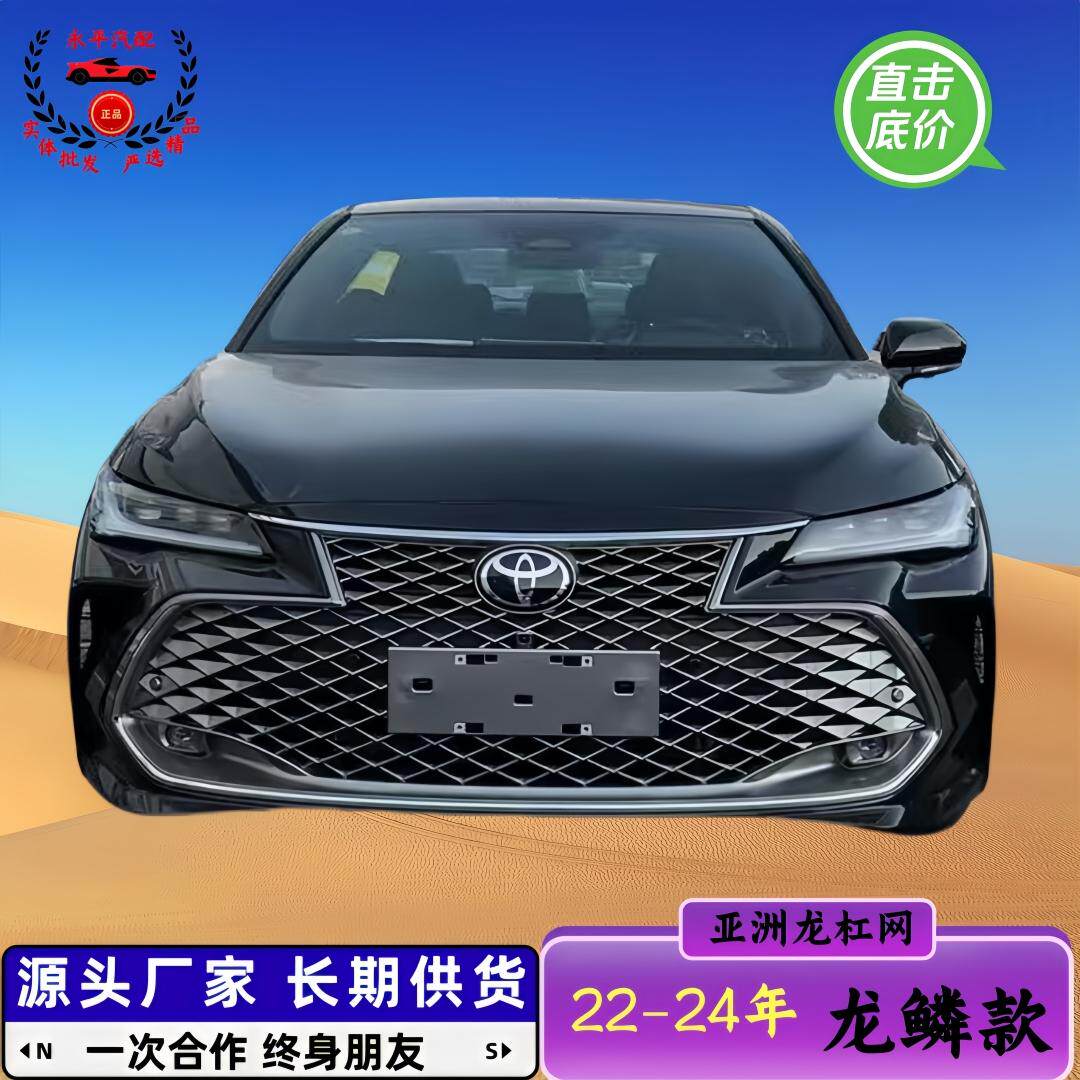 2224亚洲龙前杠格栅中网通风网图片