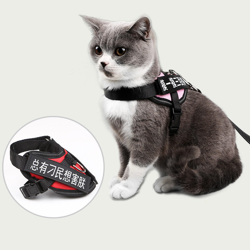 猫咪牵引绳防挣脱专用溜猫绳遛背猫牵引绳