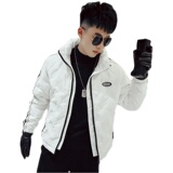 MY13-特P138冬季条纹立领潮牌网红修身男士加厚衣外套，男装棉衣，电商A257