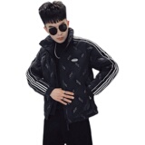 MY13-特P138冬季条纹立领潮牌网红修身男士加厚衣外套2，男装棉衣，电商A257