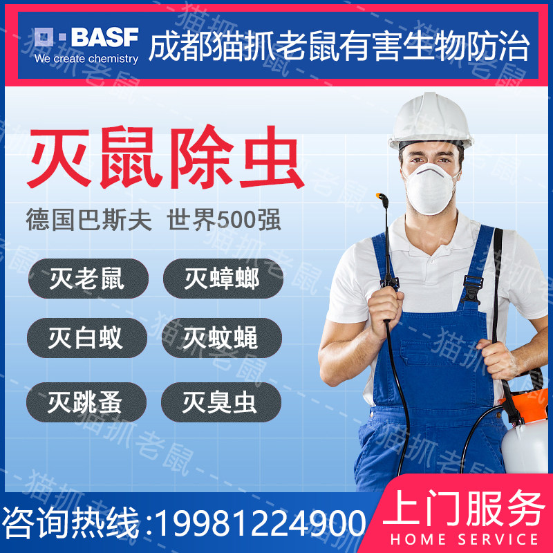 成都猫抓老鼠上门服务灭鼠灭螨虫跳蚤臭虫蚊子苍蝇灭蟑螂专业杀虫在类目 洗护清洁剂/卫生巾/纸/香薰, 驱虫用品, 灭鼠/杀虫剂中 - 来自Buy2taobao.com提供专业的淘宝代购服务