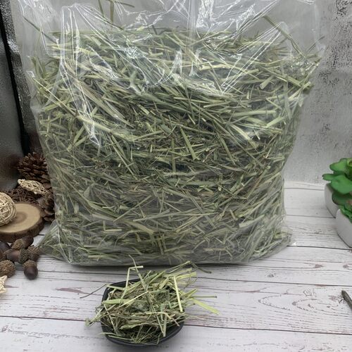 包邮特级精品进口头茬美提草兔子龙猫荷兰猪豚鼠土拨鼠主草主粮
