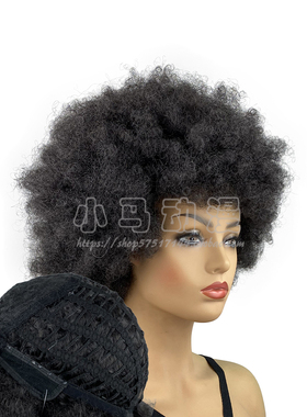 Afro Kinky Curly Wigs for Black Women 女式黑人小卷蓬松假发套
