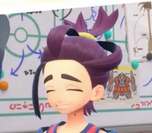 宝可梦朱 紫零之秘宝 DLC 乌栗 cos假发