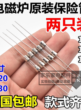 通用款电磁炉玻璃保险管丝 5*20/6*30MM 10A 15A 12A 250V 带引脚