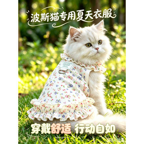 波斯猫专用猫咪夏天衣服薄款宠物背心牵引小猫可爱小裙子轻薄透气