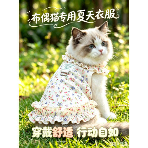 布偶猫专用猫咪夏天衣服薄款宠物背心小猫裙子可爱透气夏季连衣裙