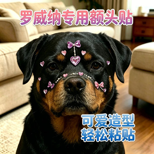 罗威纳专用狗狗额头贴纸头饰发饰小狗配饰宠物水晶贴拍照道具贴画