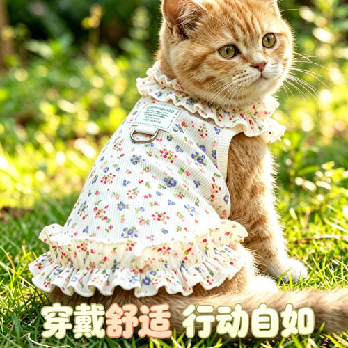 橘猫专用猫咪夏天衣服薄款宠物背心小猫漂亮裙子可爱漂亮服装夏季