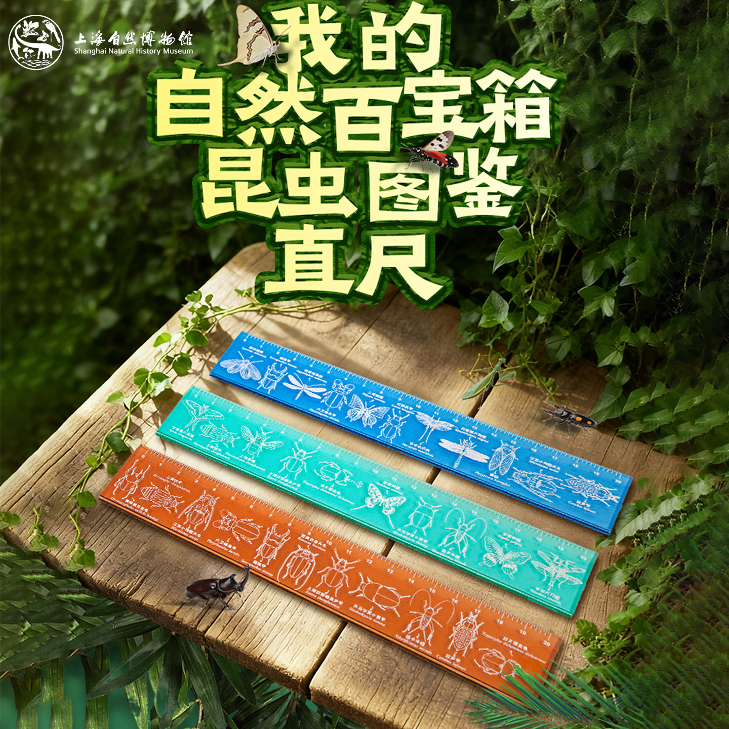 上海自然博物馆文创高颜值尺子