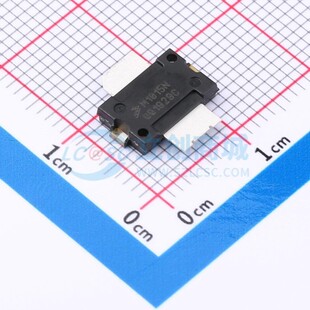 场效应管(MOSFET) MMRF1015NR1 SOT-1732-1 安世 电子元器件配单