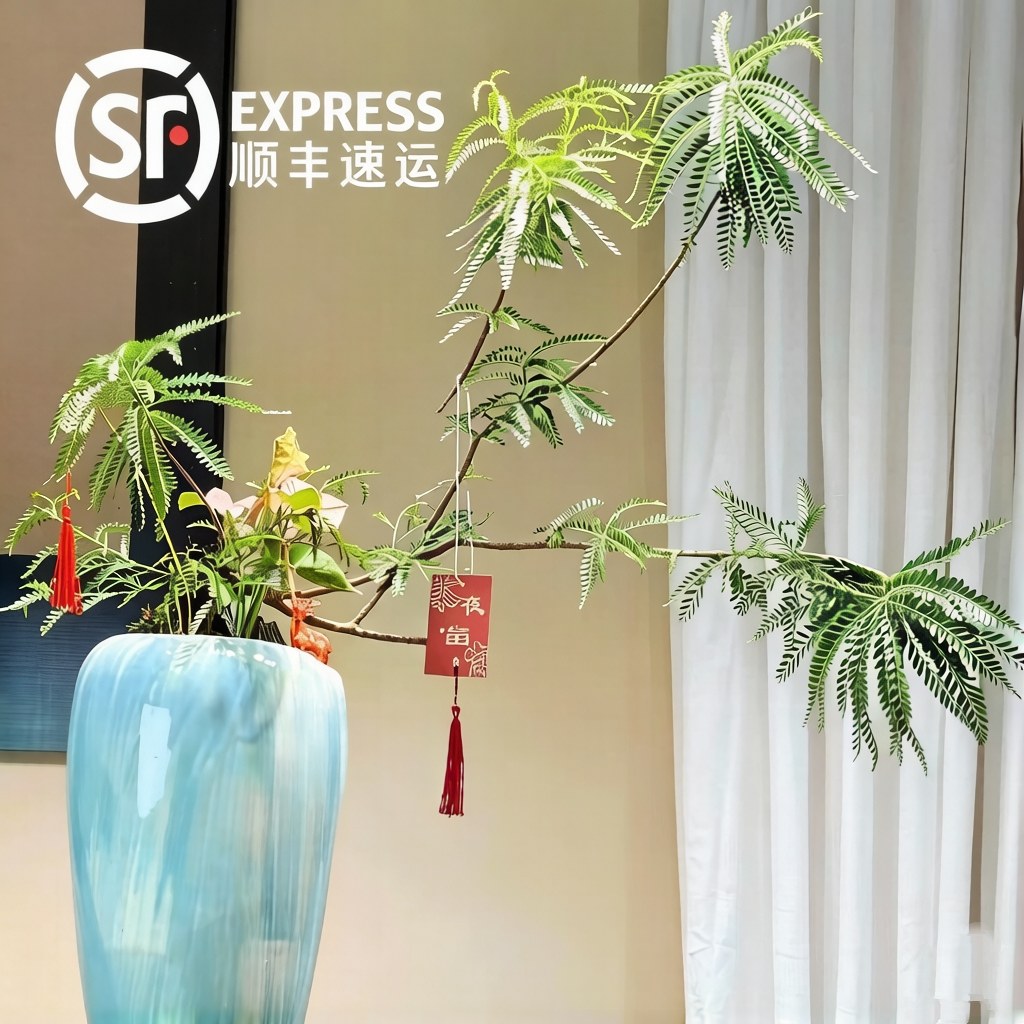 海岛叶下珠盆景室内外客厅办公室山水桌面摆件绿植土培水培植物