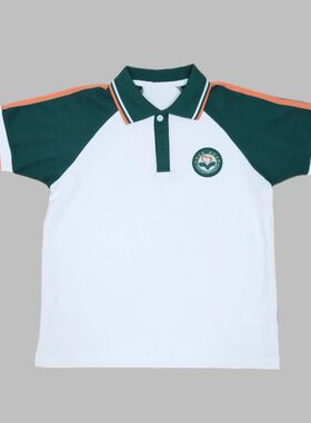 广东广西湖南博雅同款国际学校校服君诚江华岳阳南湖辰溪桂林短袖