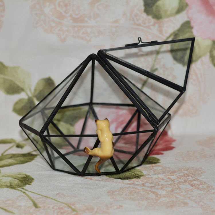 新创意微景观室内养花玻璃花房玻璃盒艺术盆景多肉植物器皿