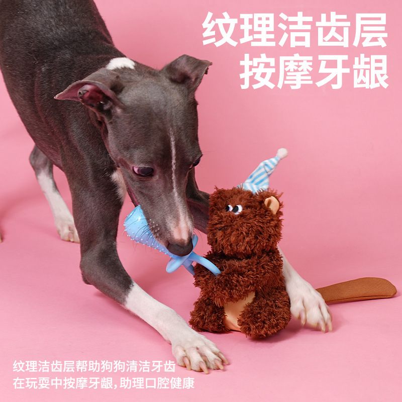 zeze松鼠宝宝狗狗啃咬玩具磨牙耐咬发声解闷咬胶玩具小型犬泰迪宠