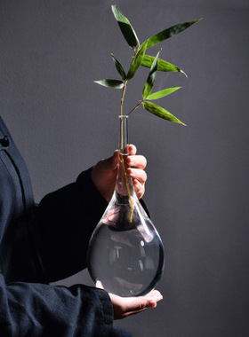 日式云雾禅意花瓶 玻璃透明花器水养插花家居客厅茶道摆件鹤首