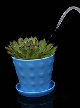 微景观制作工具直嘴浇水瓶滴水瓶 挤压式点滴瓶250ML 园艺浇水壶