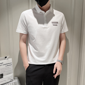 小伙风 2025夏季新款男士修身帅气明线短袖POLO衫PL6379-p58控78图片