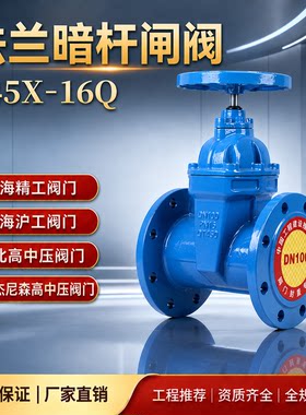 上海精工湖北高中压Z45X-16Q