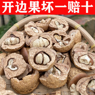 广西野生风流果新鲜现摘风流果正品天竺粒掉藤果厚鳞柯500g泡酒料