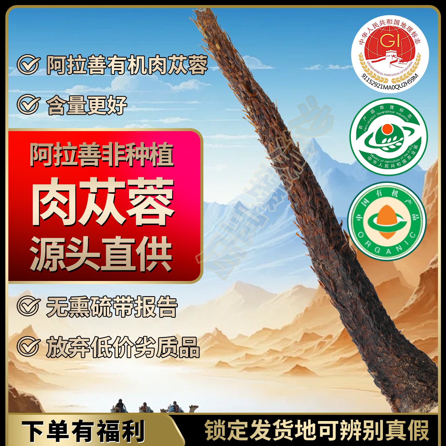 阿拉善有机肉苁蓉金锁阳整根非种植正宗沙漠软性送淫羊藿中药材