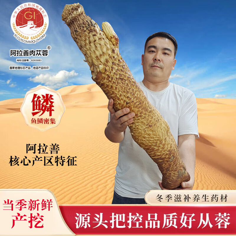 阿拉善源头新鲜肉苁蓉正品锁阳泡酒泡茶内蒙正宗沙漠淫羊藿中药材