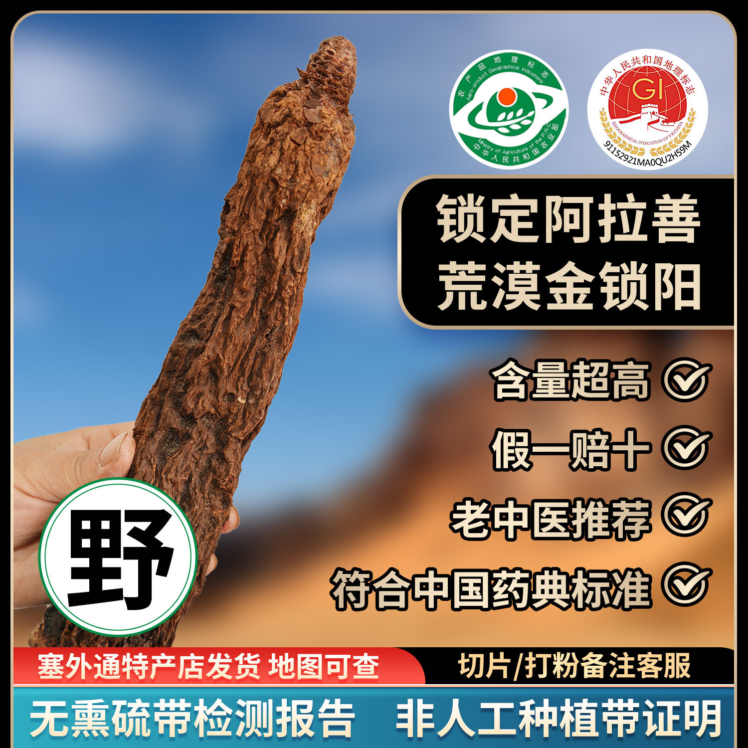 阿拉善非种植金锁阳官方正品整根内蒙古肉苁蓉淫羊藿中药材泡酒料