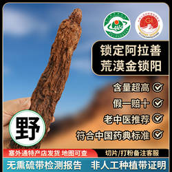 阿拉善非种植金锁阳官方正品整根内蒙古肉苁蓉淫羊藿中药材泡酒料